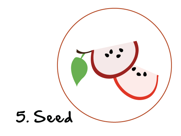 The Discipling Tree Series: The Power is in the Seed